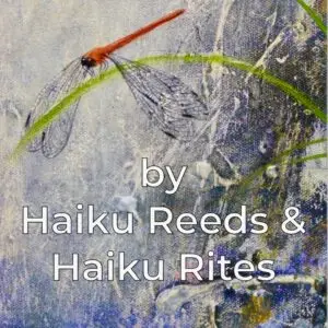 Haiku booklet cover of poem anthology